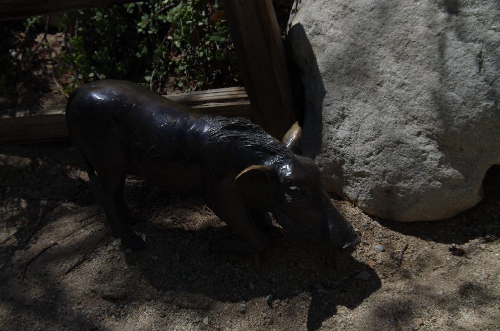 Sculpture of African Warthog (the real ones were hiding in the corner)