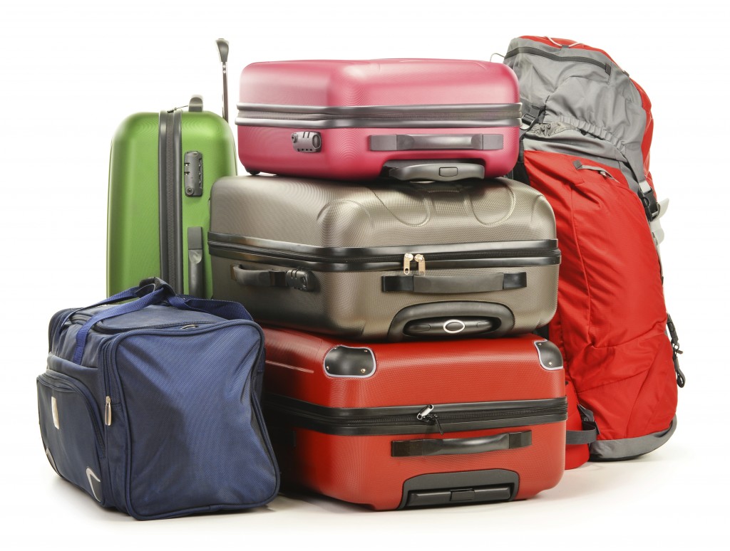 Beating the Baggage Charge Blues â Stuart Gustafson â Author