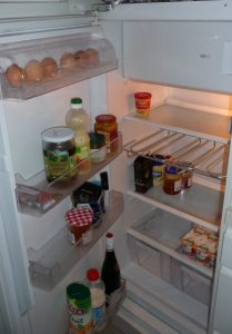 The small IKEA refrigerator holds enough groceries for a couple days along with other essentials.